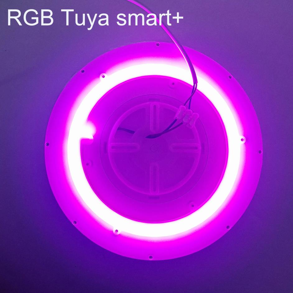 RGBW Dimmable Alexa WIFI Control Decorative 12inch 300mm Tuya Smart LED Panel Light for kids bedroom
